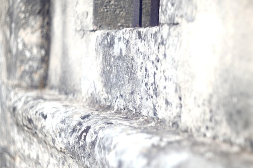 Free Old France photo and picture