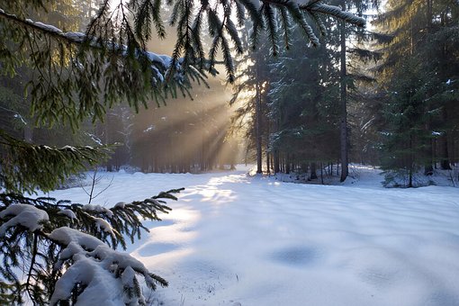 Winterlandschaft, Winter, Schnee