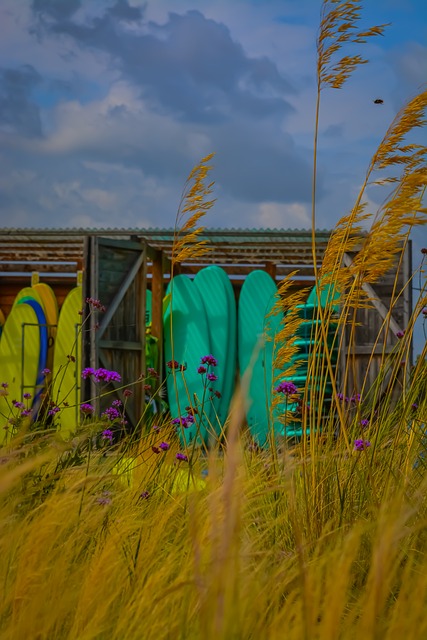 Free Surfboards Surfer photo and picture