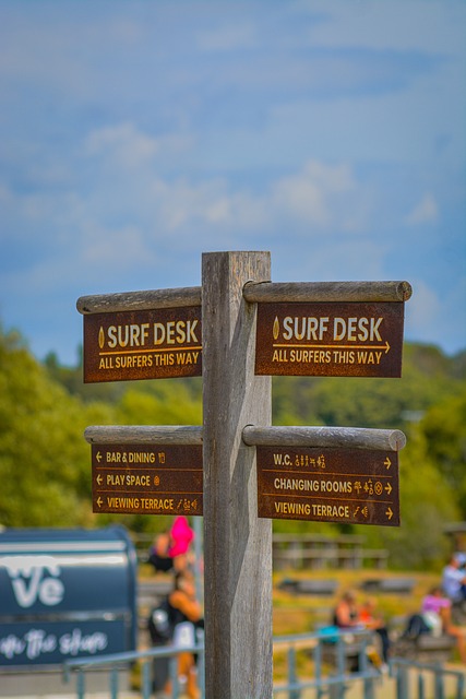 Free Surfing Nature photo and picture