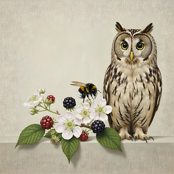 Free Owl Bumblebee illustration and picture