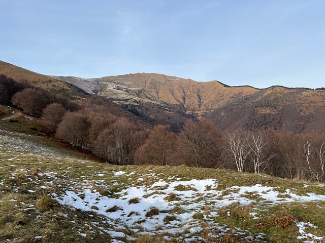 Montañas, Naturaleza, Invierno, Bosques
