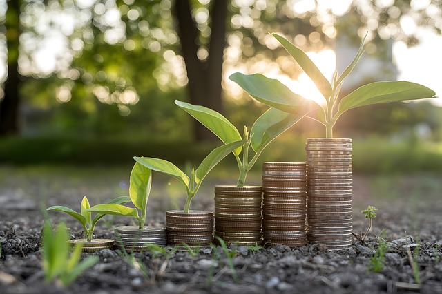 Naturwachstum, Finanzielles Wohlbefinden