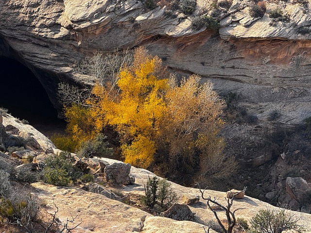 Free Natural Bridge Rock Formation photo and picture