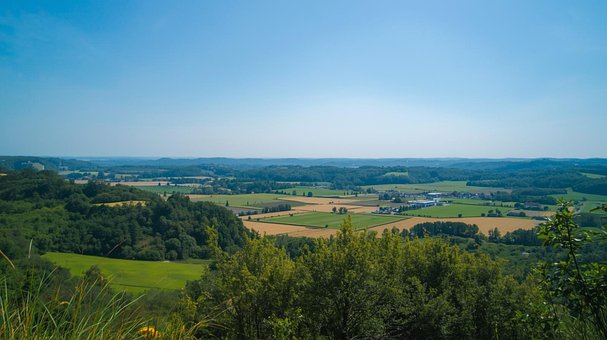 Landschaft, Wald, Natur, Tierwelt, Baum