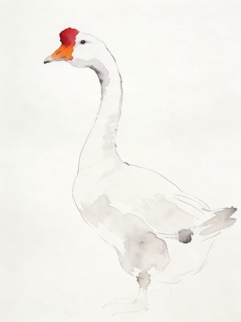 Free Chinese Painting Ink Drawing illustration and picture