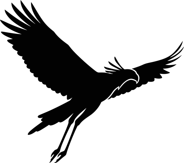 Adler, Vogel, Silhouette, Flug, Fliegend