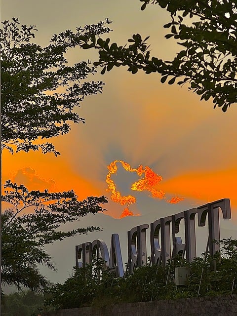Sonnenuntergang, Sonne, Himmel, Wald