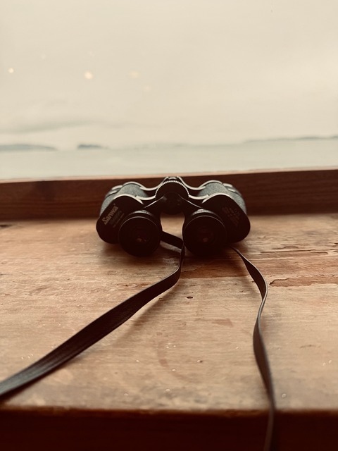 Free Binoculars Sea photo and picture