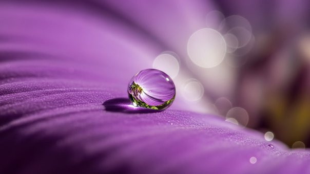 Free Macro Photography Water Droplet photo and picture
