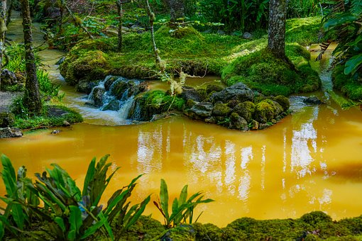 Landschaft, Natur, Wald, Heiss, Eisen
