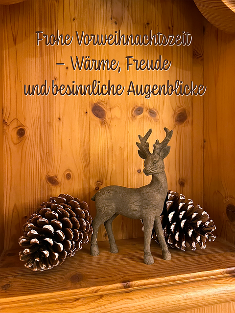 Free Christmas Decoration Decorative photo and picture