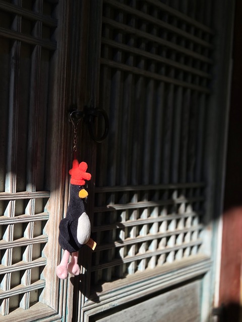 Free Cute Penguin photo and picture