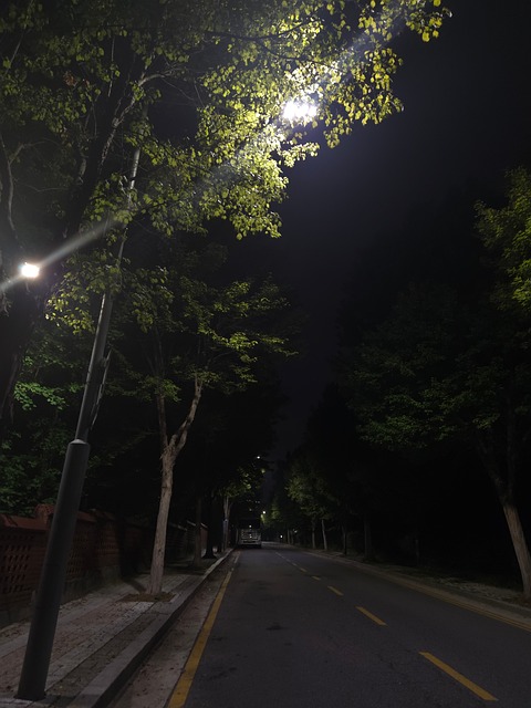 Free Street City photo and picture