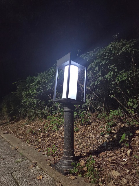 Free Street Lamp City photo and picture