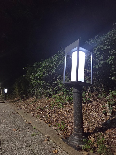 Free Street Lamp Lights photo and picture