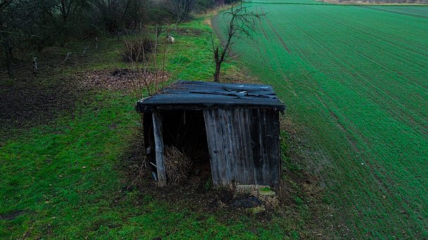 Free Shed Abandonedbuilding photo and picture