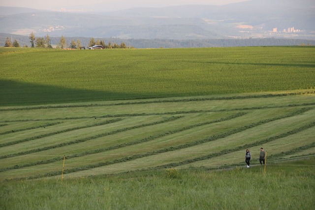 Landschaft, Hügel, Gras, Feld, Ruhe