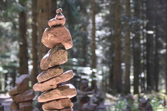 Steinbalance, Wald, Steine, Zen-Garten