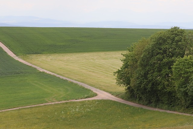 Feldweg, Grüne Felder, Landschaft