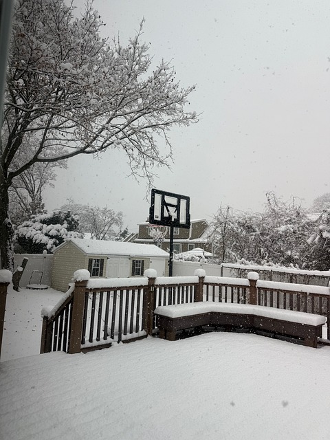 Free Snow Nature photo and picture