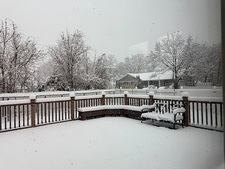 Free Winter Snow photo and picture