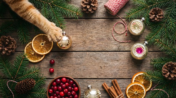 Free Christmas Winter illustration and picture