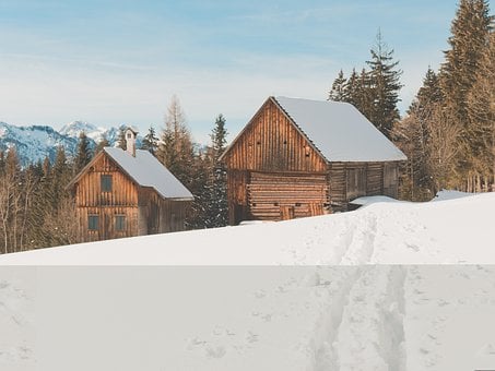 Free Winter Snow photo and picture