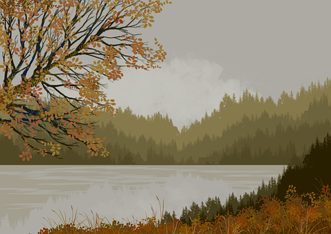 Woud, Bomen, Panorama, Water, Rivier