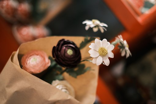 Free Nature Flower photo and picture