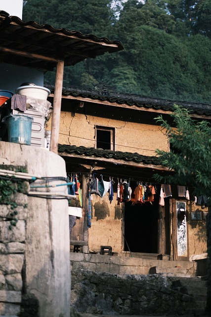 Free Vietnam Nature photo and picture