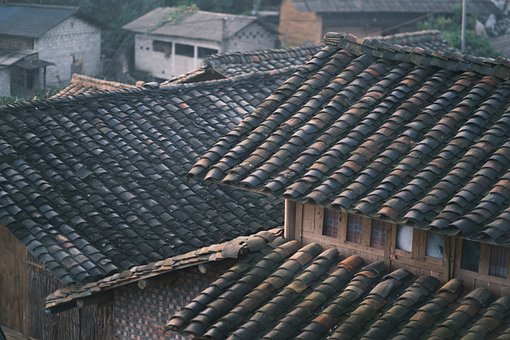 Free Vietnam Nature photo and picture