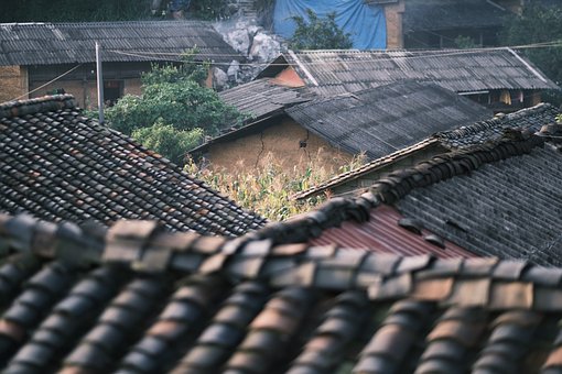 Free Vietnam Nature photo and picture