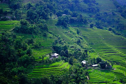 Free Vietnam Nature photo and picture