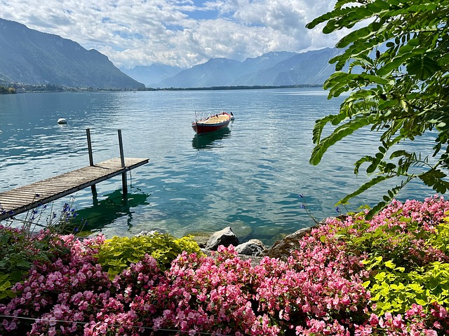 Free Water Calm photo and picture