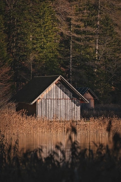 hut, woodhouse, log house, lake, water, reflection, nature, forest, trees, landscape, quiet, peaceful, idyllic, fall, winter, architecture, riverbank, sunlight, the shade, mood, reed