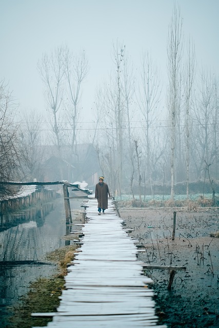 Free Kashmir Travel photo and picture