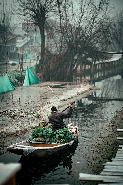 Free Kashmir Travel photo and picture