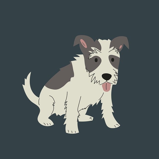 Free Dog Animals photo and picture