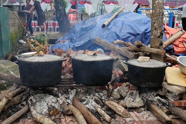 Free Outdoor Cooking Stew photo and picture