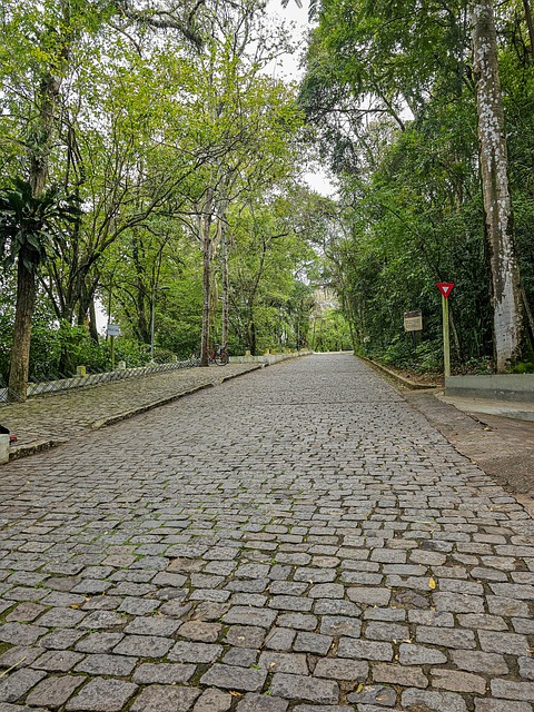 Weg, Bäume, Straße, Wald, Pflastersteine