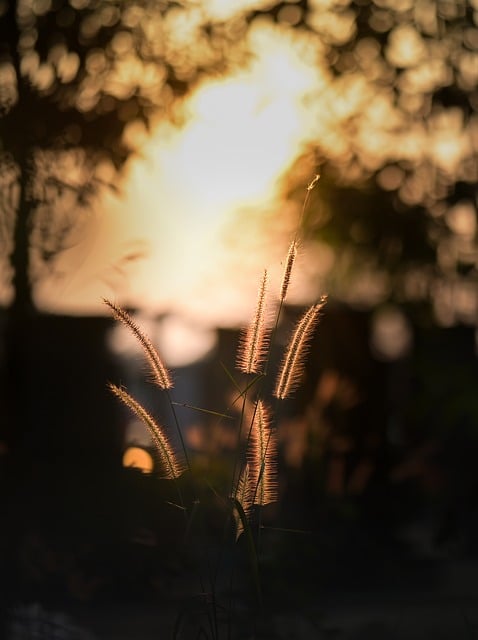 Zonsondergang, Natuur, Schemering, Zon