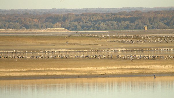Free Wildlife Nature photo and picture