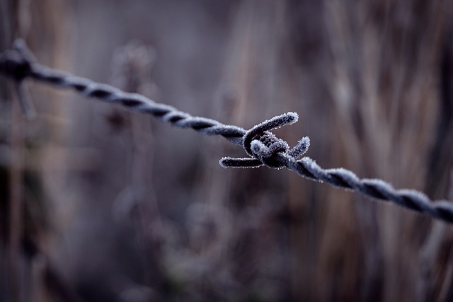 Spitze, Kabel, Kalt, Winter, Frost