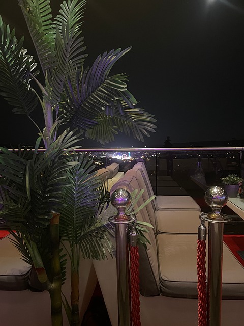 Parti, Stuttgart, Bar, Shisha, Palme Træ