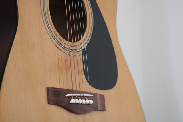 Free Guitar Instrument photo and picture