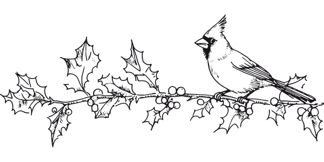 Fugl, Gren, Kristtorn, Vinter, Christmas