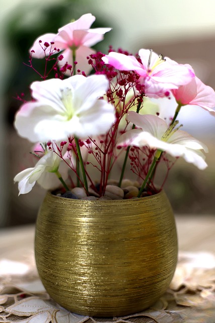 Free Flowers Flora photo and picture