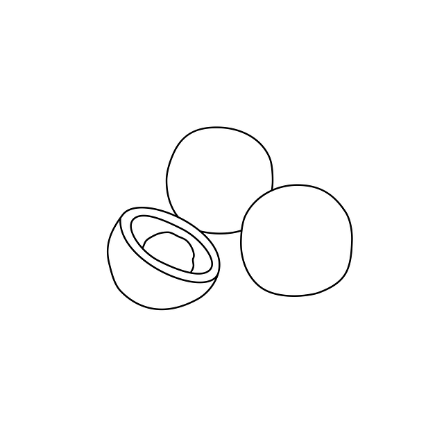 Free coloring pages coloring color illustration