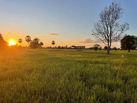 Solnedgang, Cambodja, Felt, Asiatisk